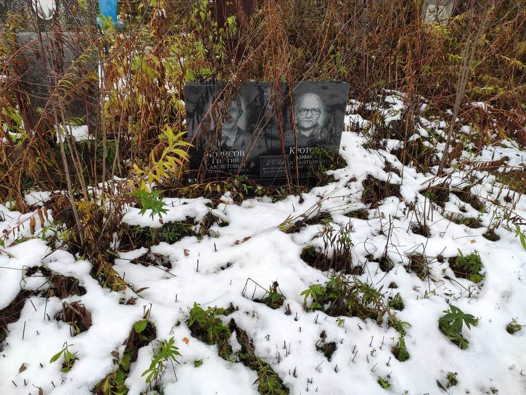 Борисов Георгий Гамлетович