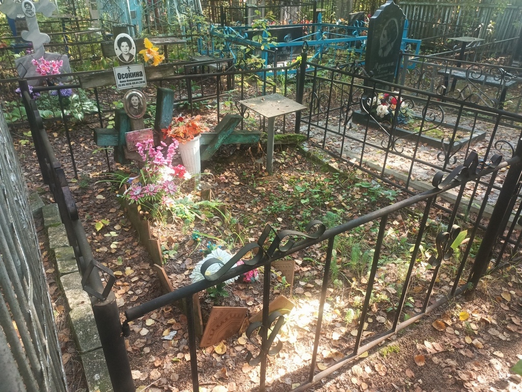Осокина Анна Николаевна