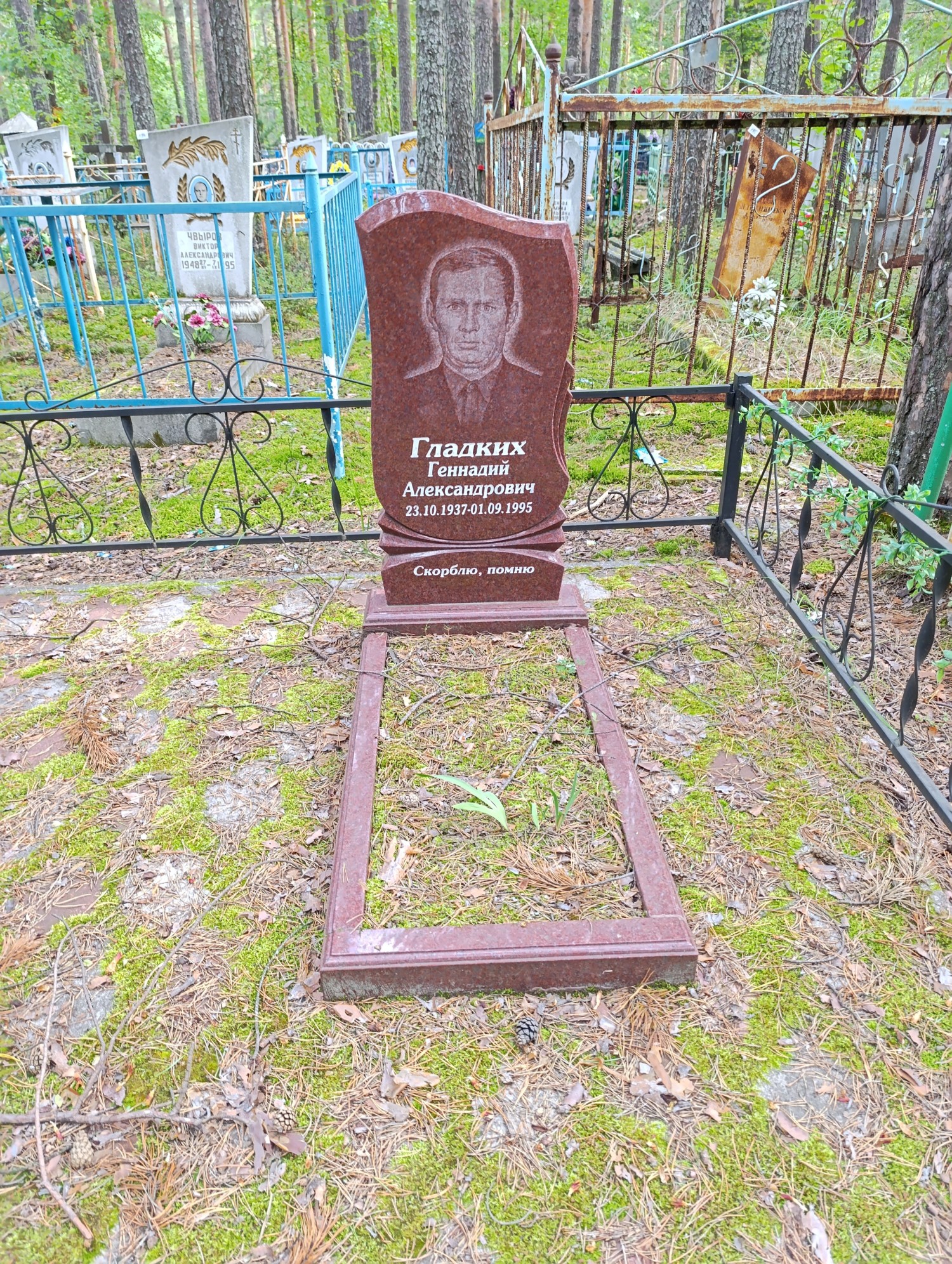 Гладких Геннадий Александрович