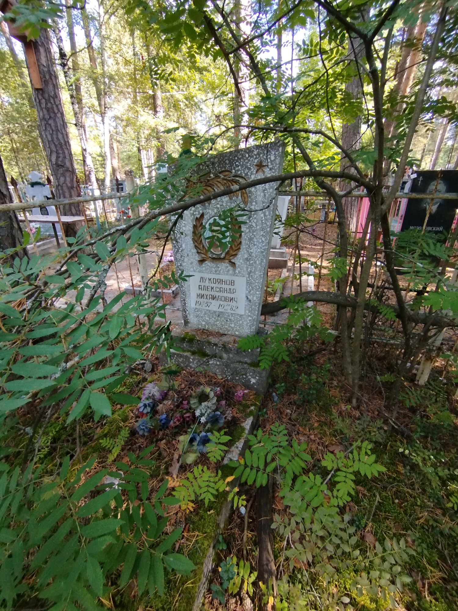Лукоянов Александр Михайлович