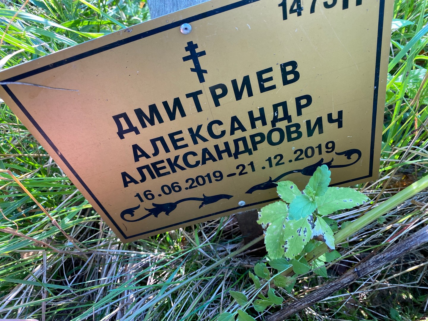 Дмитриев