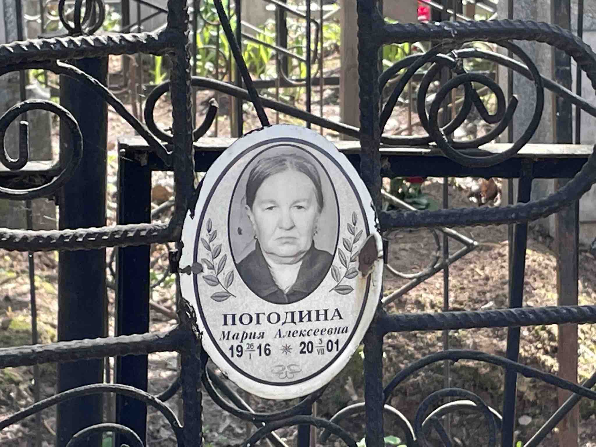 Погодина Мария Алексеевна