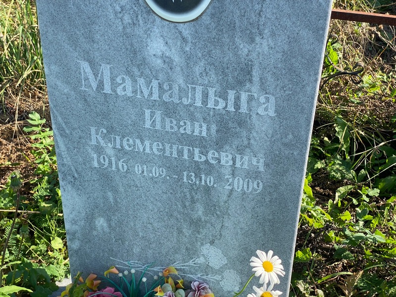 Мамалыга