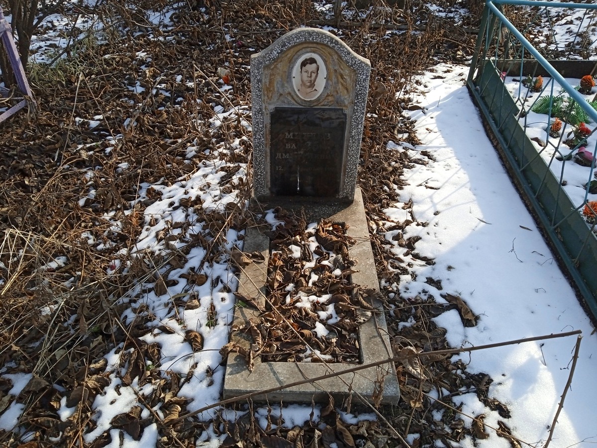 Михеев Василий Дмитриевич