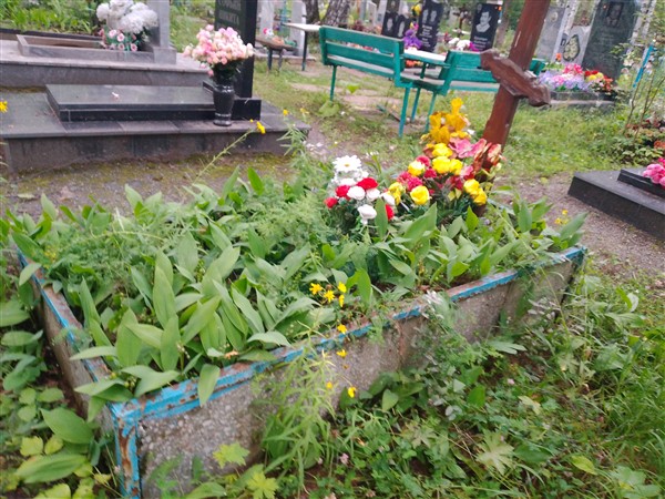 Смолин Владимир Васильевич