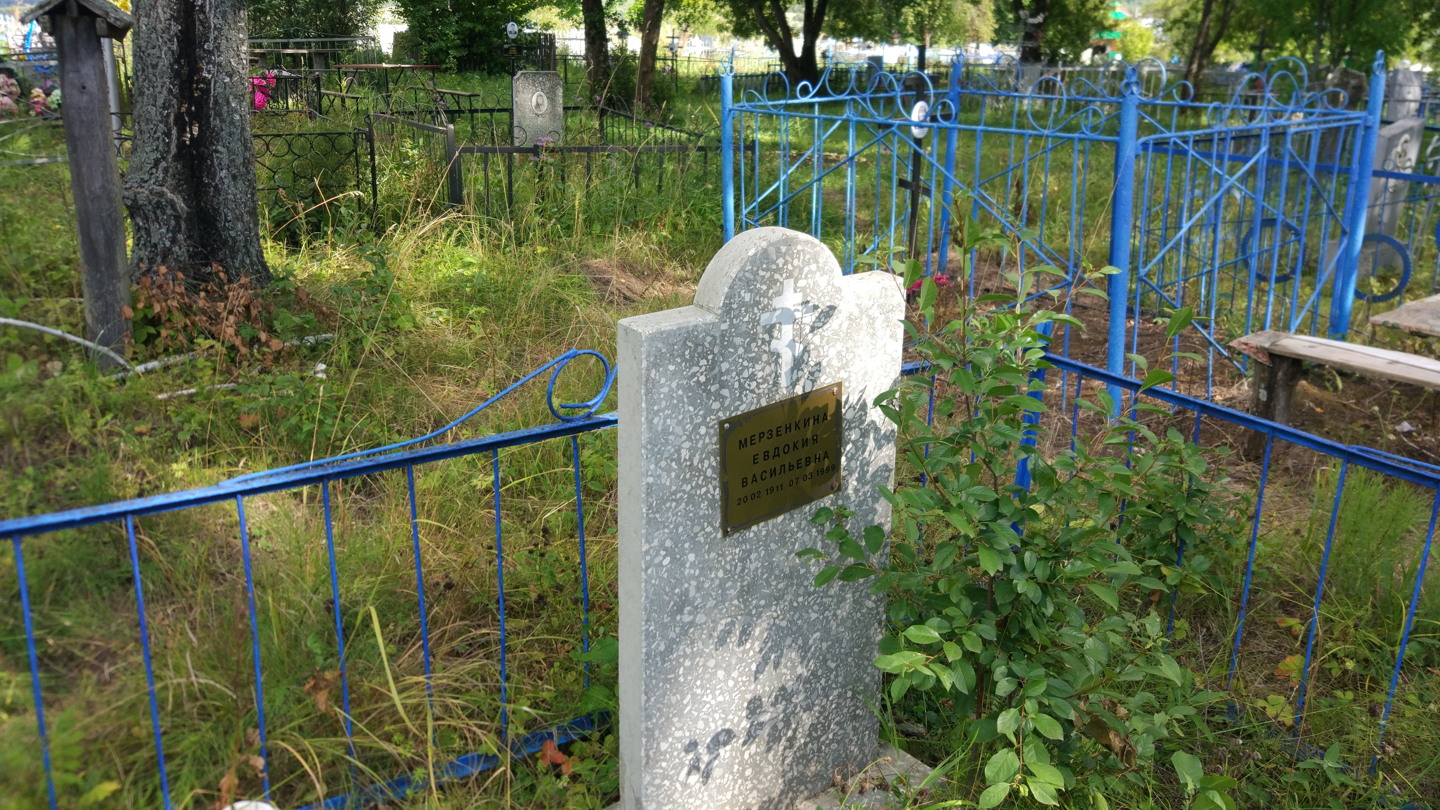 Мерзенкина Евдокия Васильевна