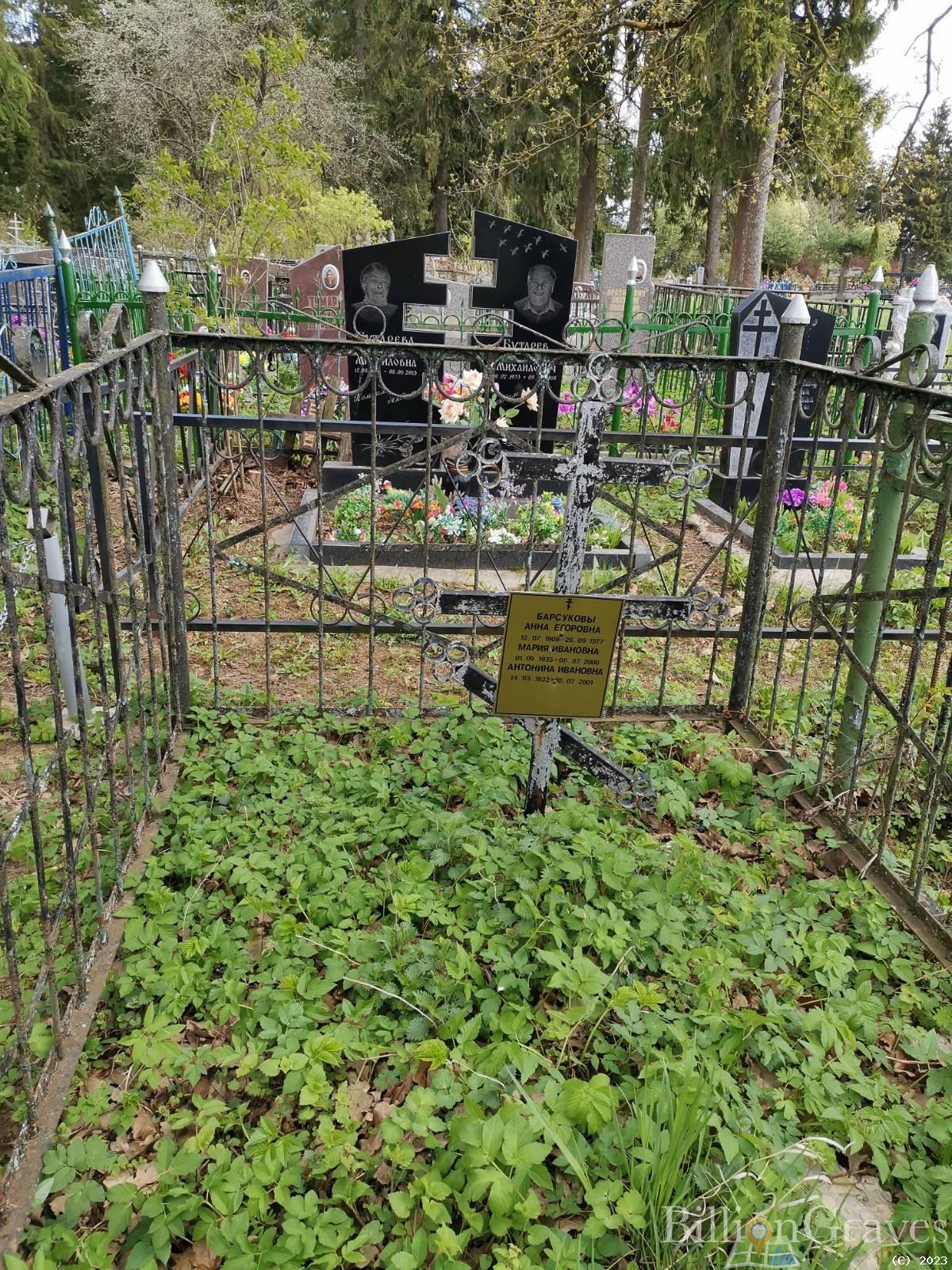 Барсукова Анна Егоровна