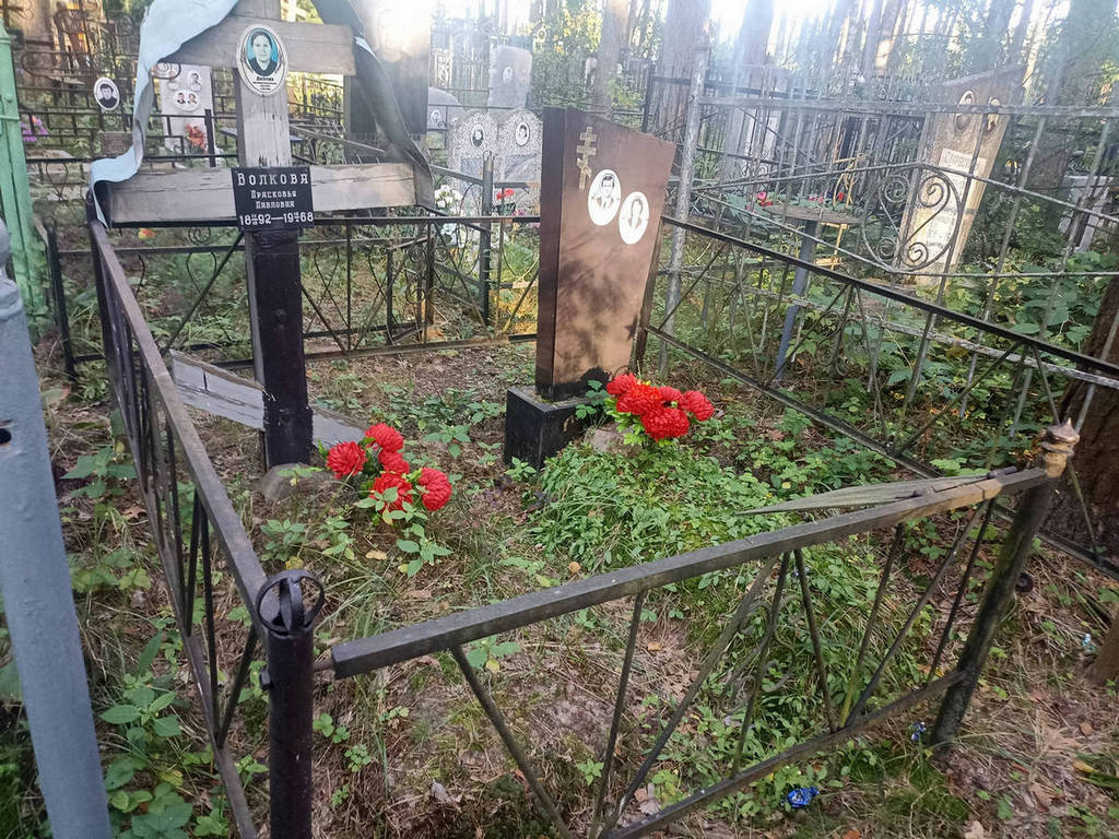 Волкова Валентина Ильинична