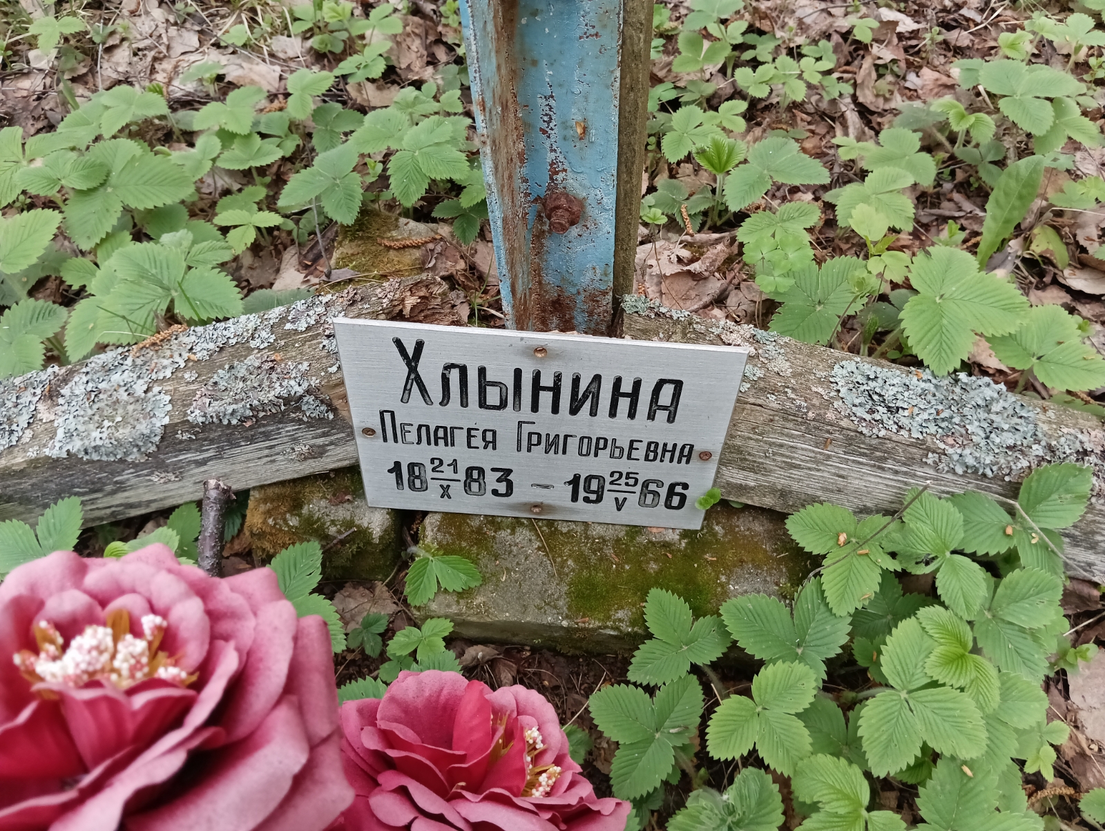 Хлынина Пелагея Григорьевна