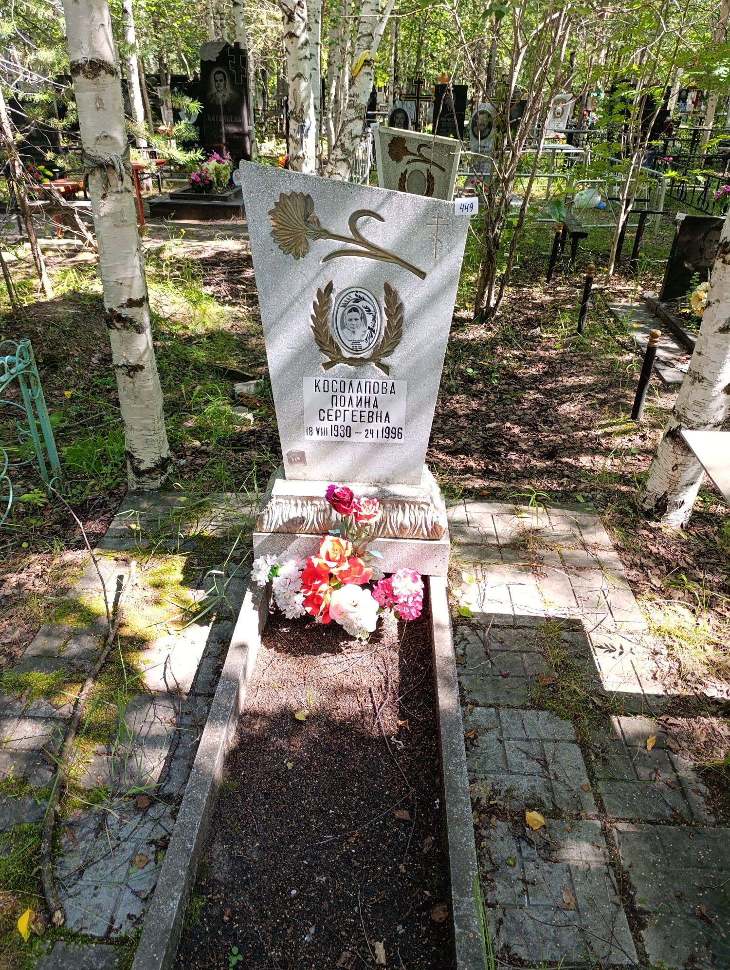 Косолапова Полина Сергеевна
