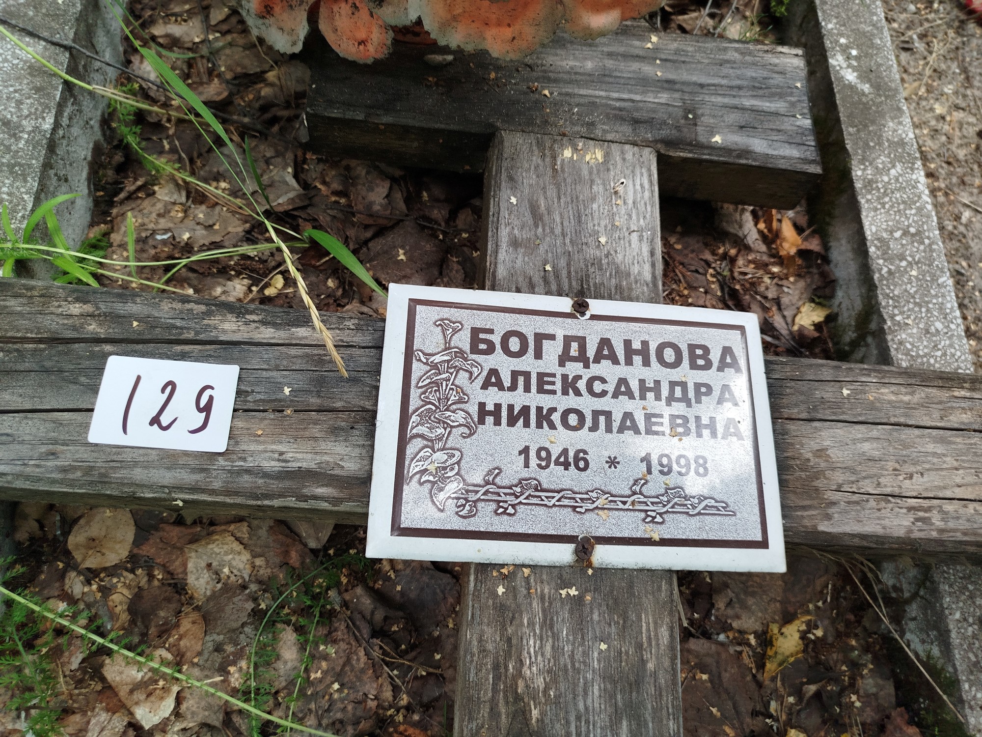 Богданова Александра Николаевна
