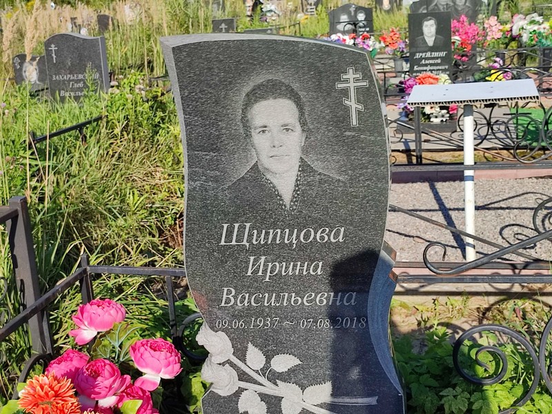 Шипцова