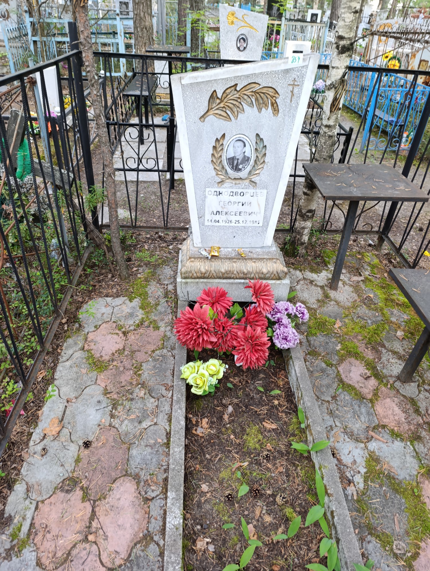 Однодворцев Георгий Алексеевич