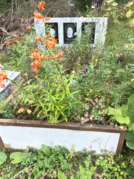 Котов Александр Николаевич