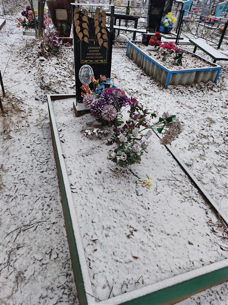 Демидов Андрей Борисович