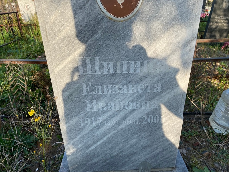 Шипина