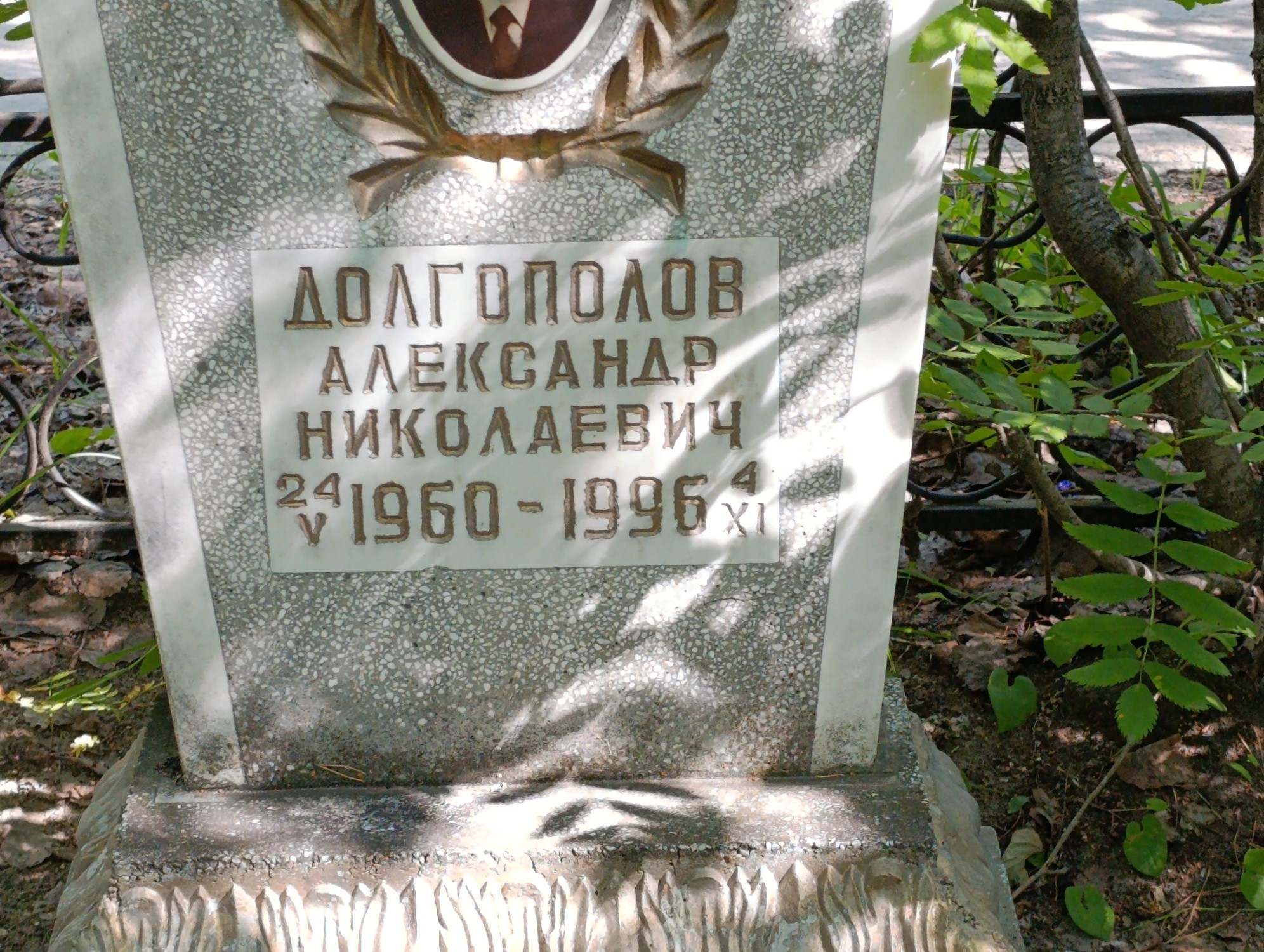 Долгополов Александр Николаевич