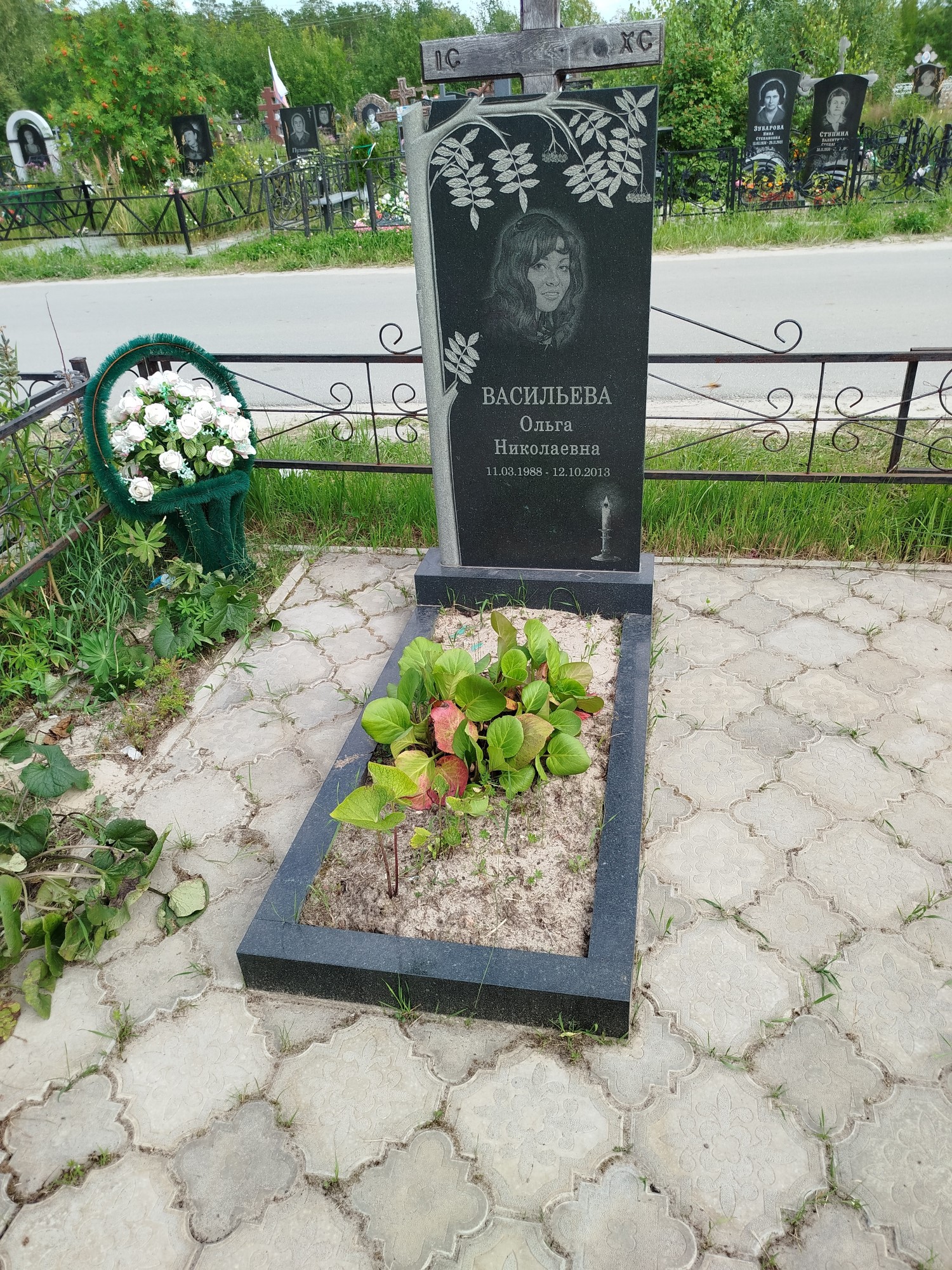 Васильева Ольга Николаевна