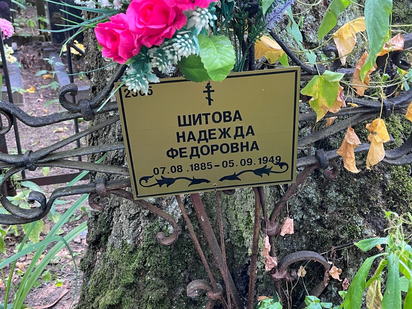 Шитова