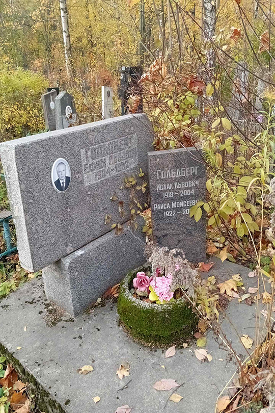 Гольдберг Ефим Львович