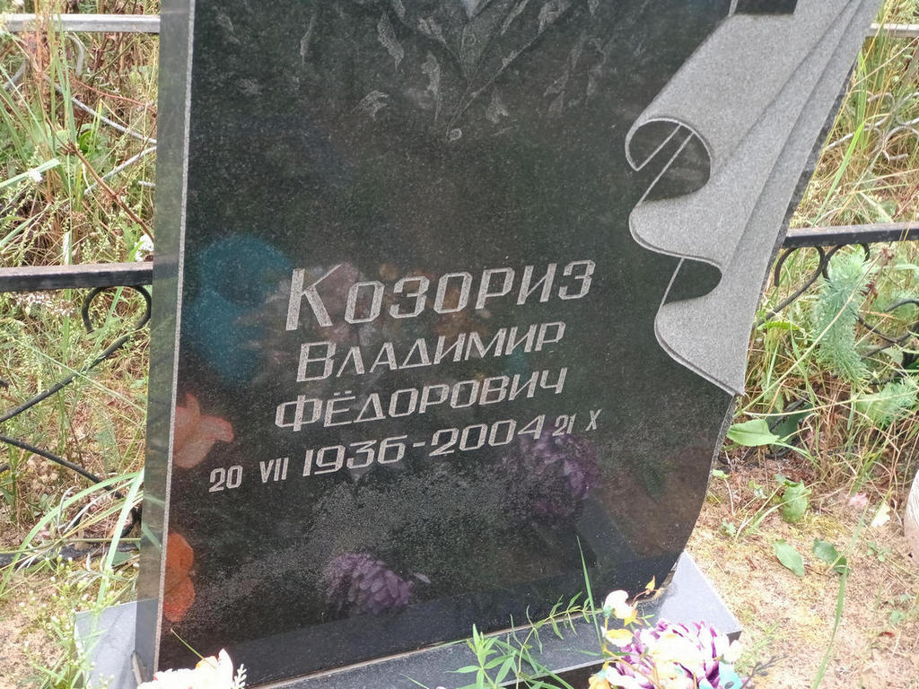 Козориз Владимир Федорович
