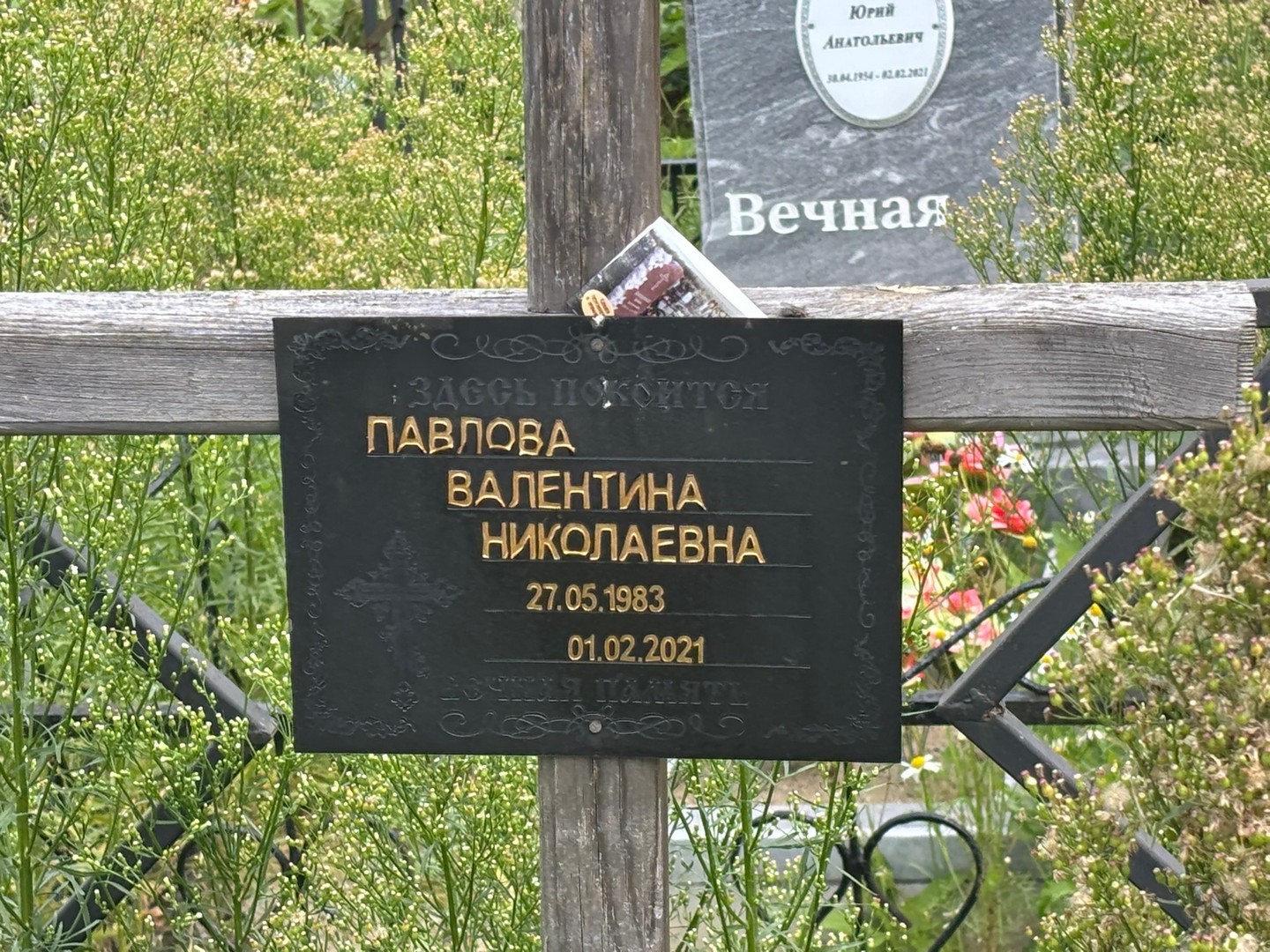 Павлова