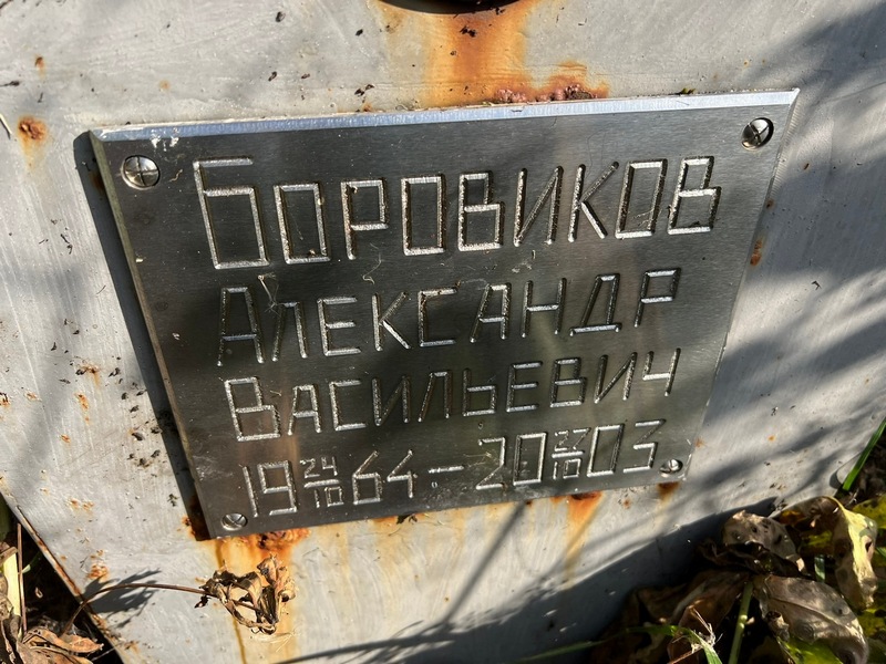 Боровиков