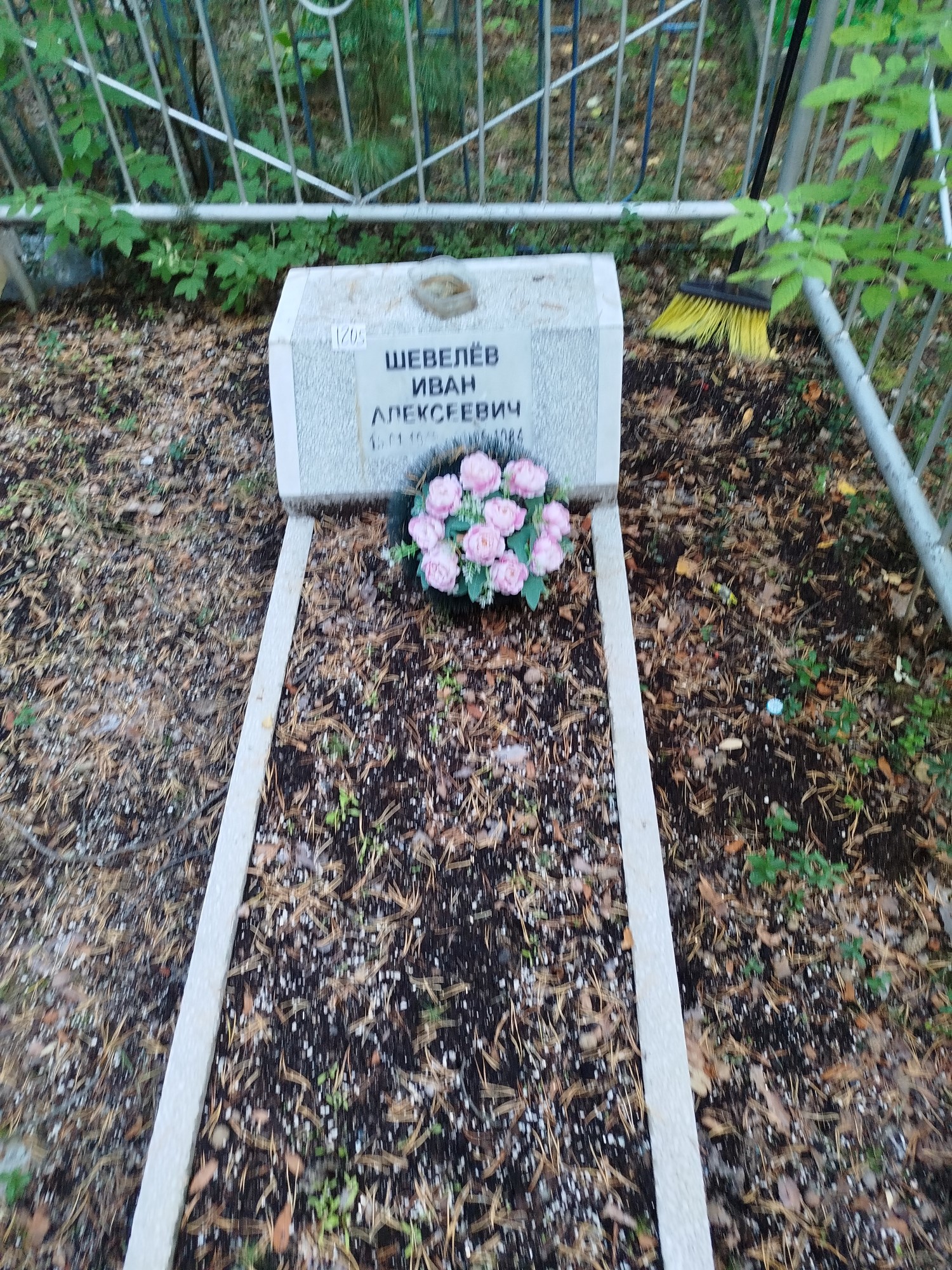 Шевелев Иван Алексеевич