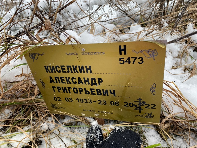 Киселкин