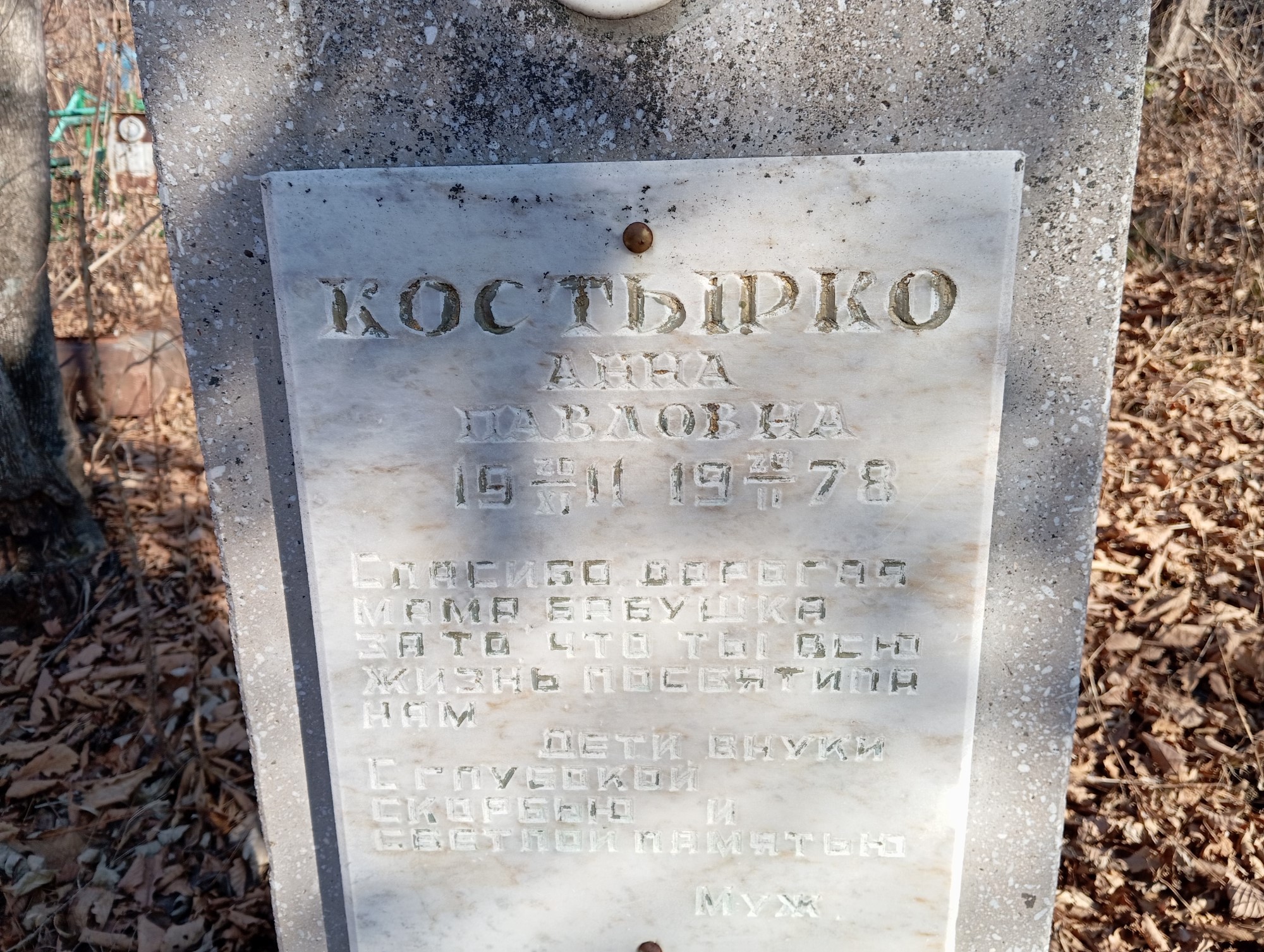 Костырко Анна Павловна