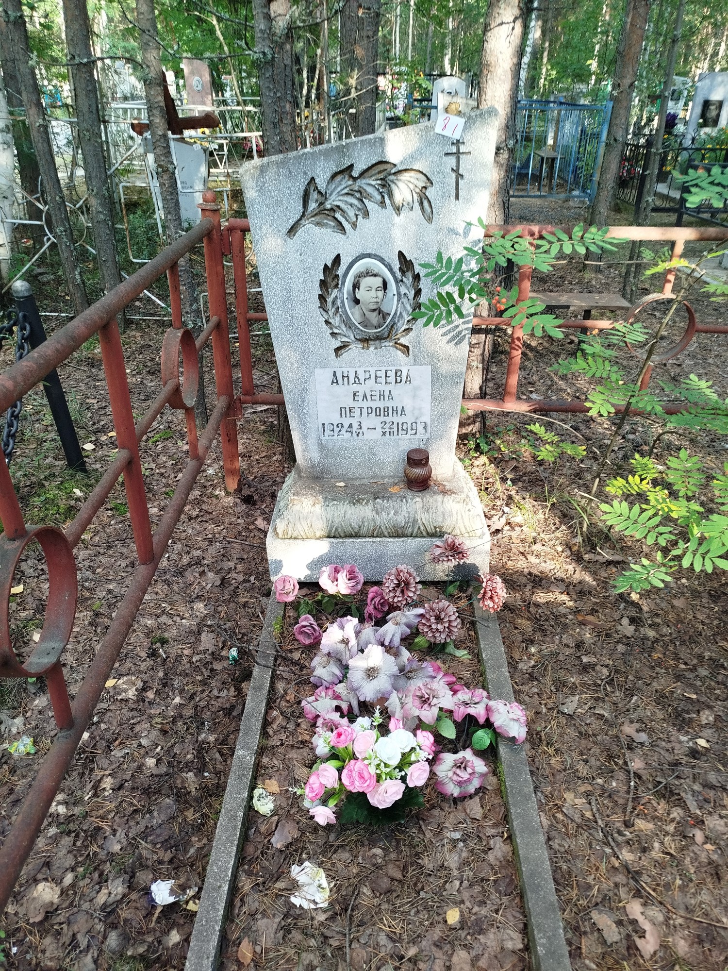 Андреева Елена Петровна