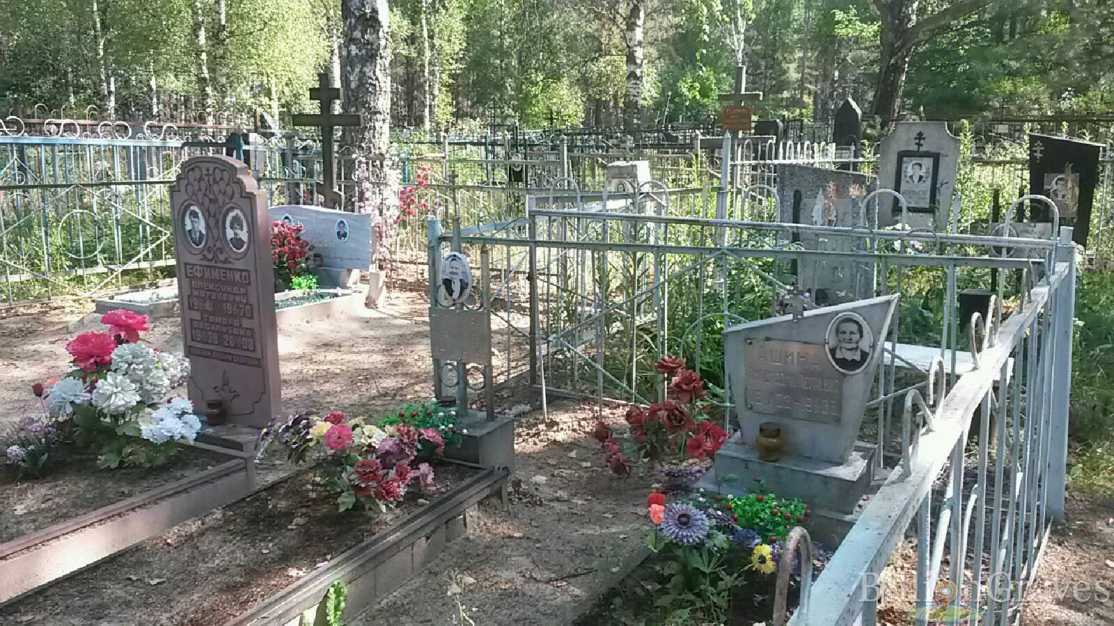 Ашина Анастасия Петровна