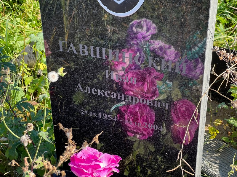 Гавшинский