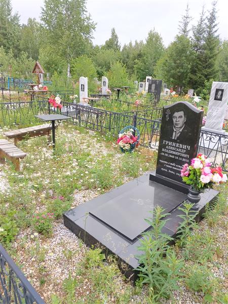 Гриневич Александр Владимирович