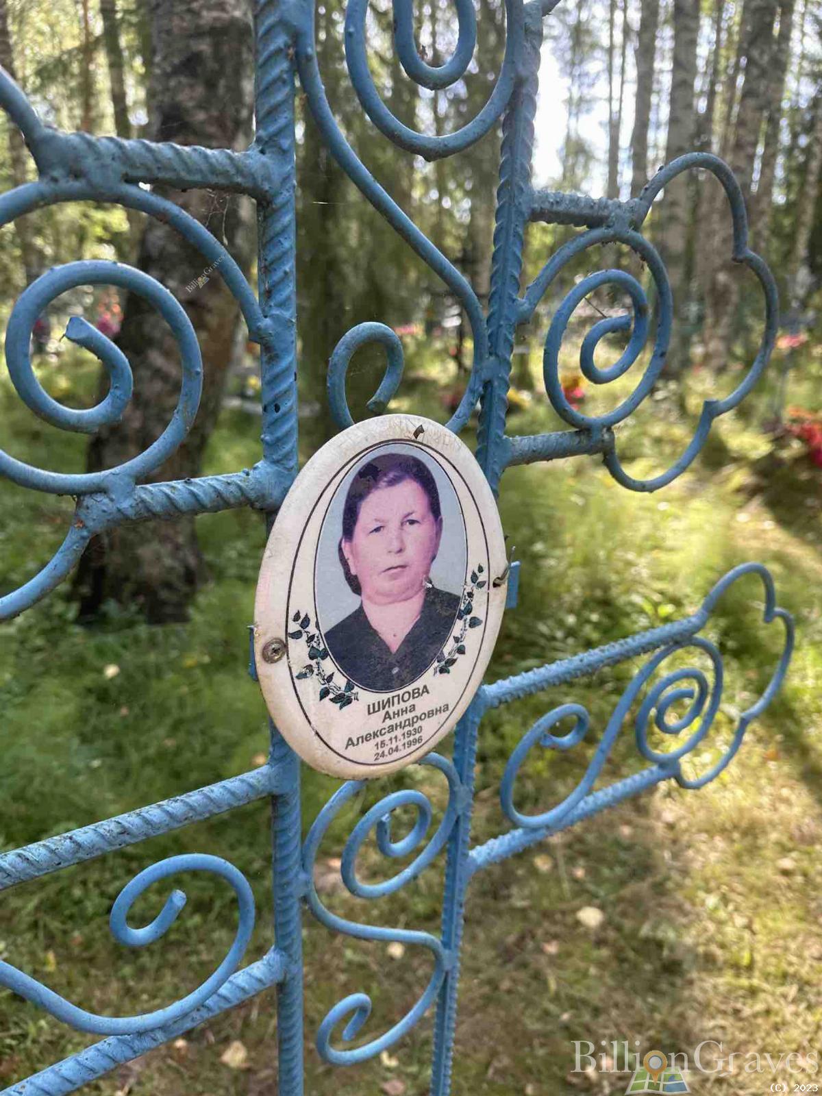 Шипова Анна Александровна