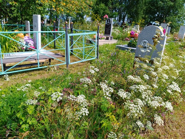 Овчинников Георгий Сергеевич