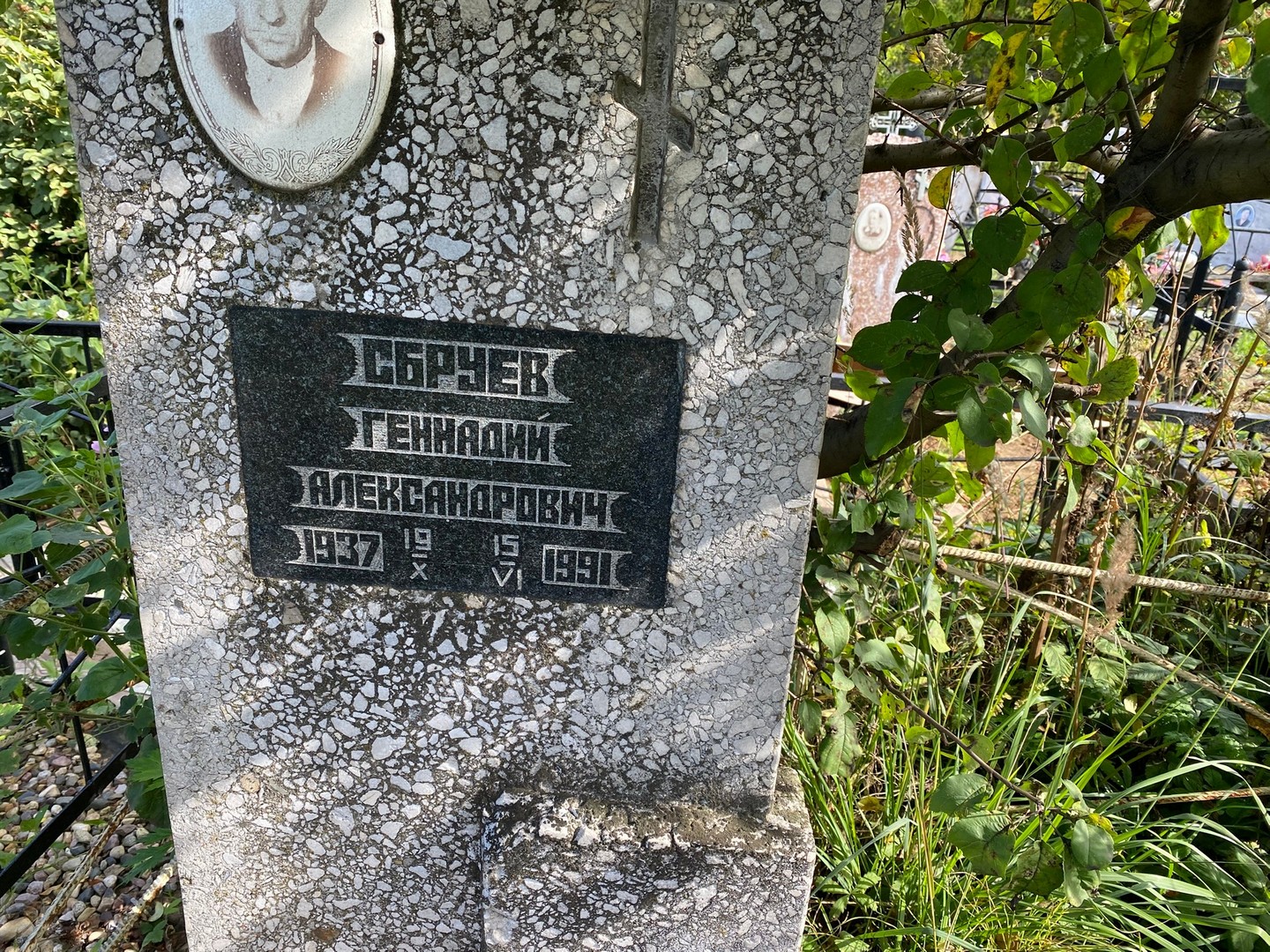Сбруев