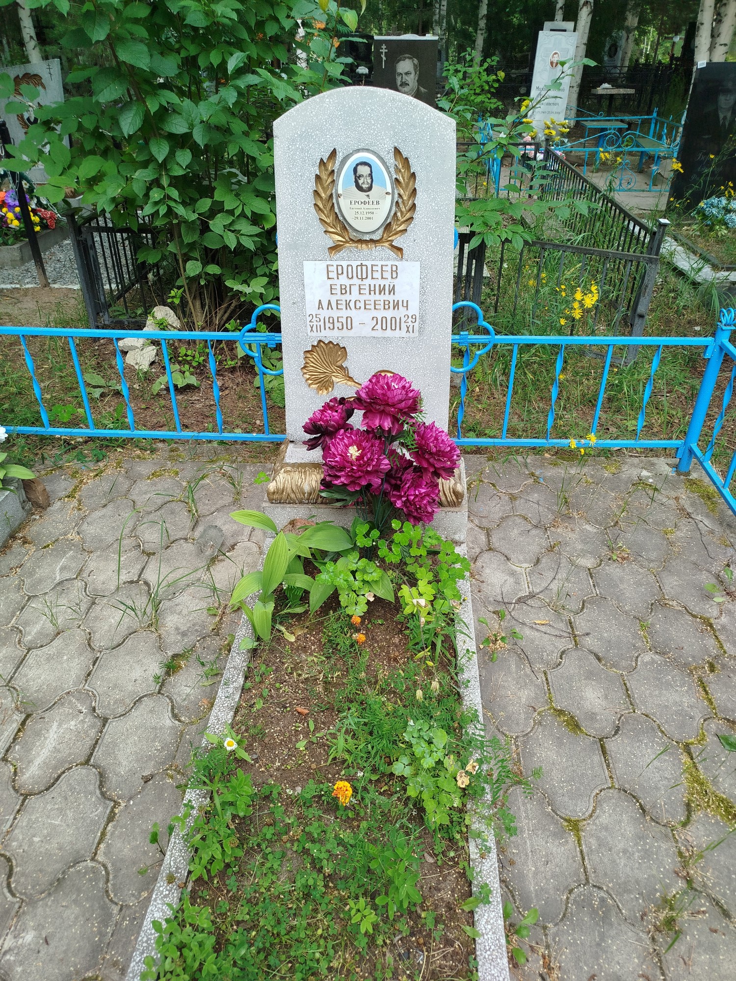 Ерофеев Евгений Алексеевич