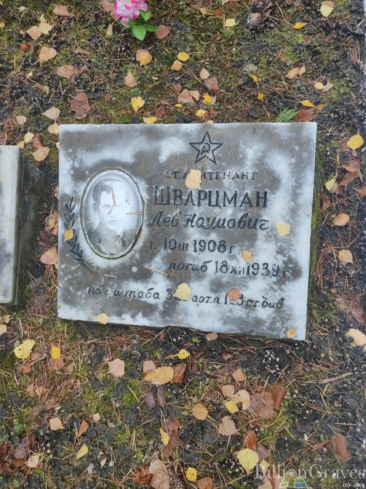 Шварцман Лев Наумович