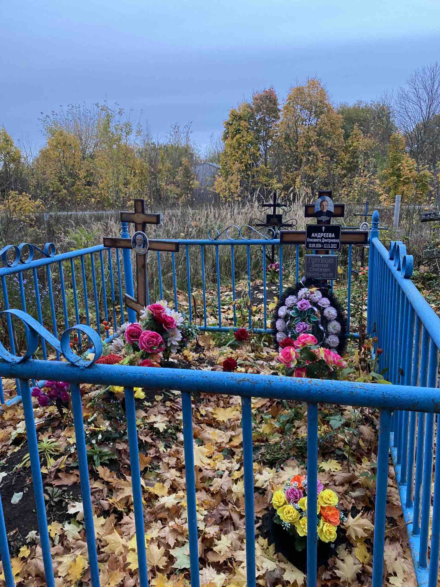 Самохвалова Анна Дмитриевна