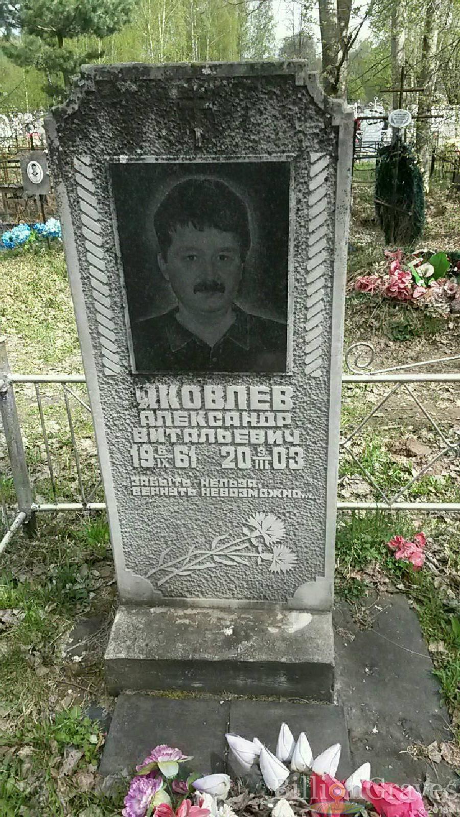 яковлев александр витальевич
