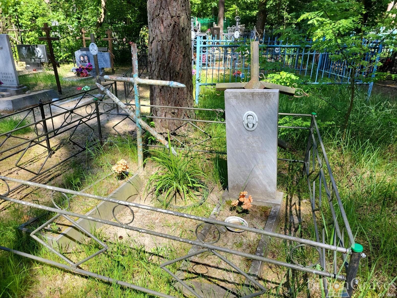 Крюкова Прасковья Сергеевна