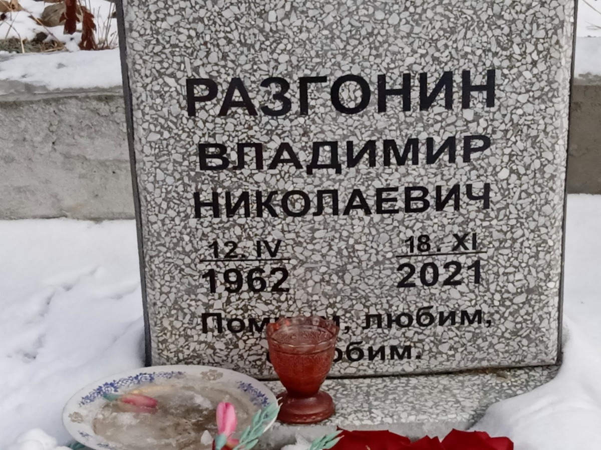 Разгонин Владимир Николаевич