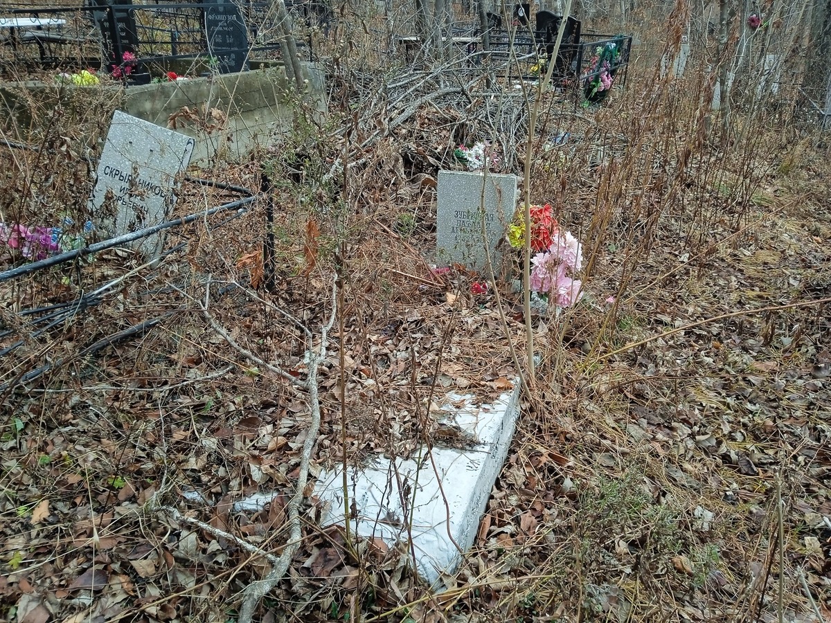 Зубрицкая Наталья Демьяновна