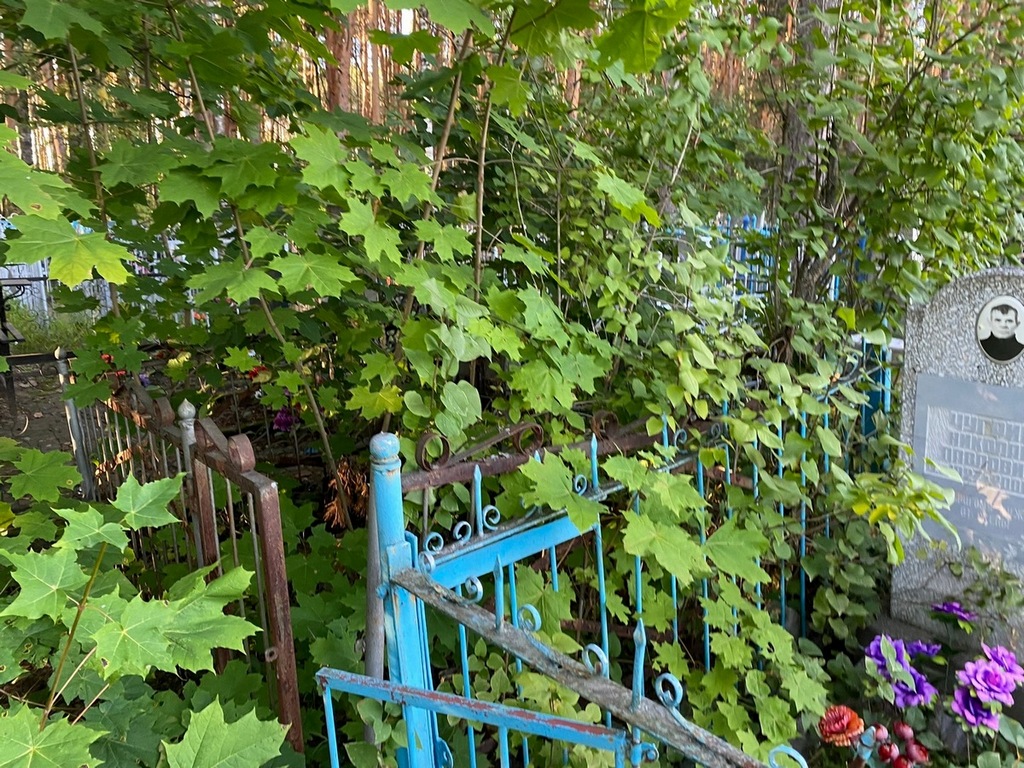 Сорокина Римма Дмитриевна