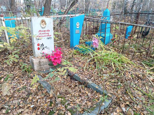 Дюжева Альбина Васильевна