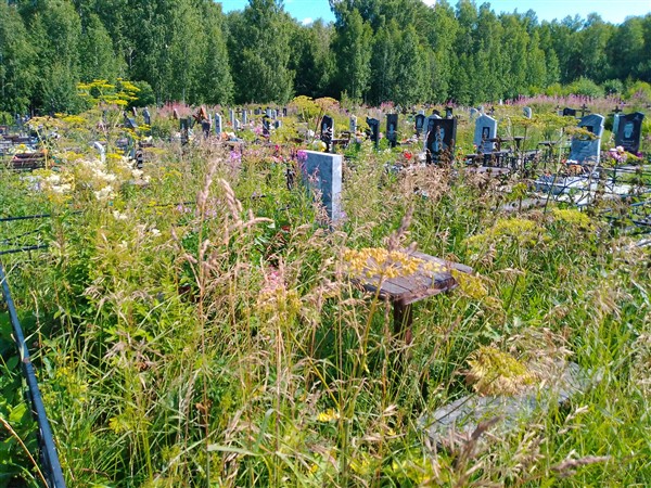 Иванов Сергей Петрович