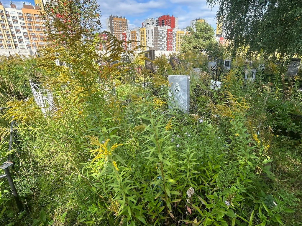 Пастухов Николай Николаевич