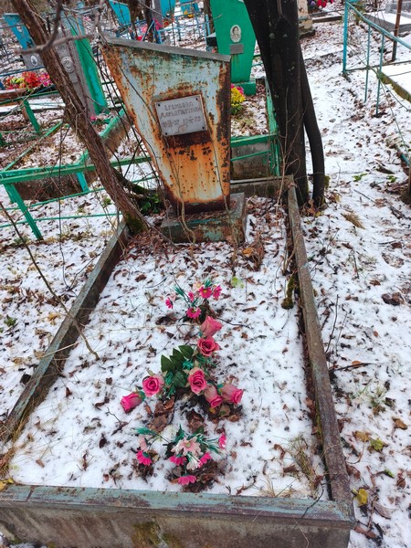 Егемеева Дарья Петровна
