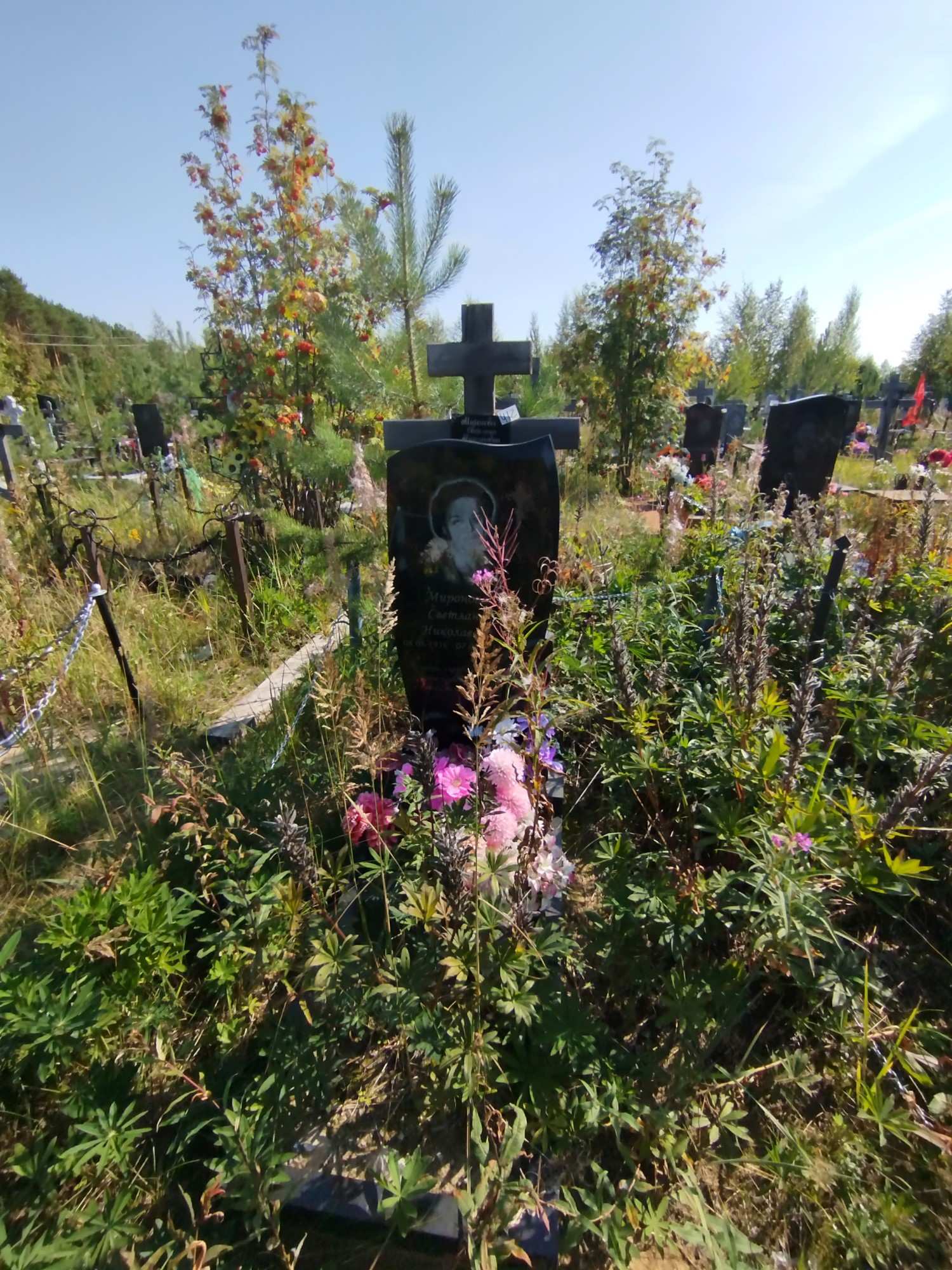 Миронова Светлана Николаевна